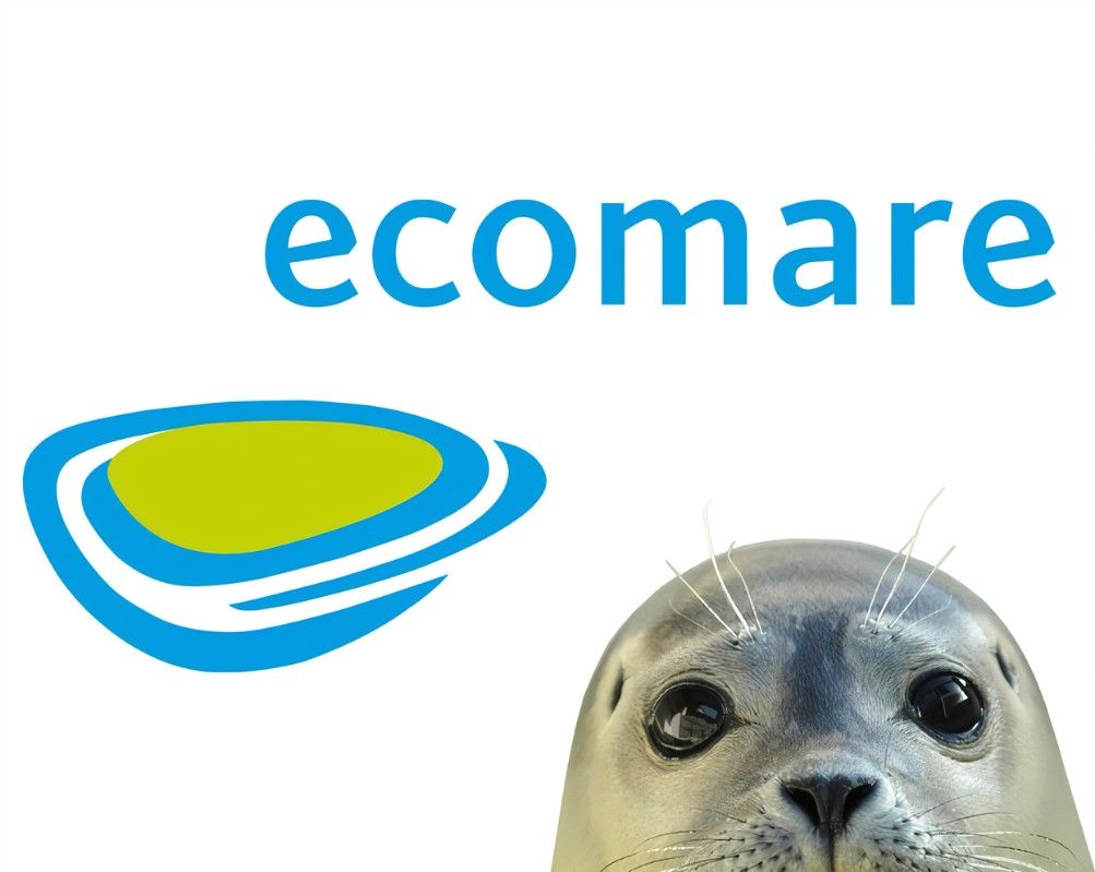 logo_ecomare.jpg